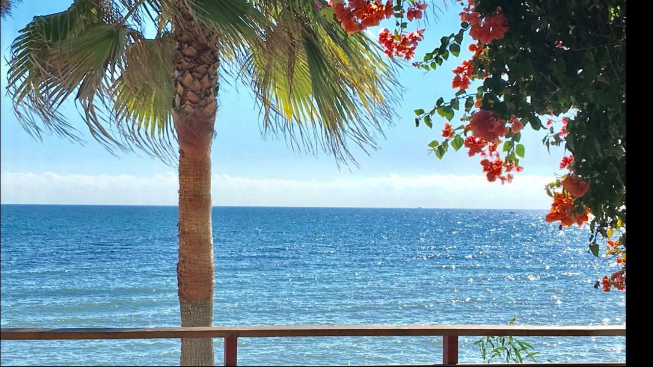 Mi Capricho 9A Beachfront- Apartment With Sea View - Costa Del Sol Sitio de Calahonda Luaran gambar